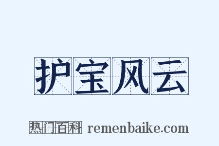 护宝风云是什么意思的图片